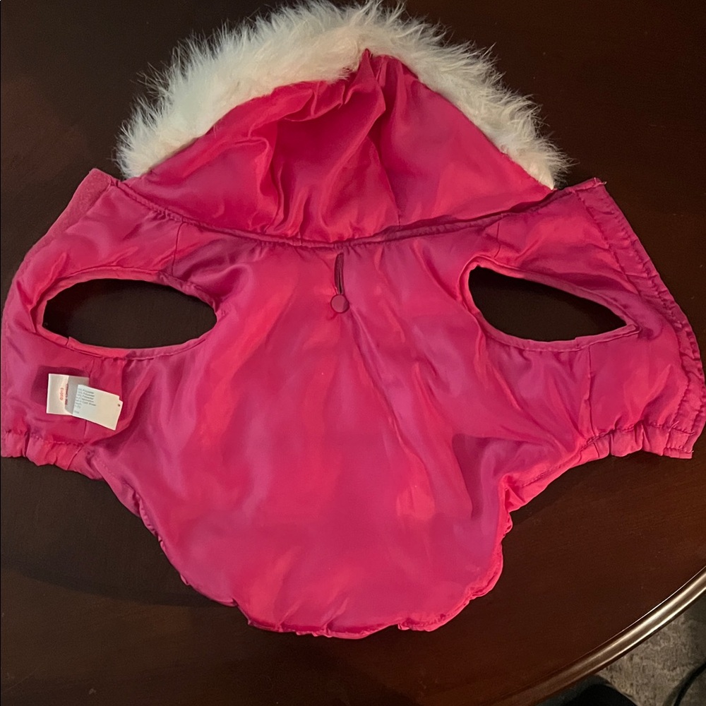 Colorful Dog Apparel Set - Picture 8 of 8